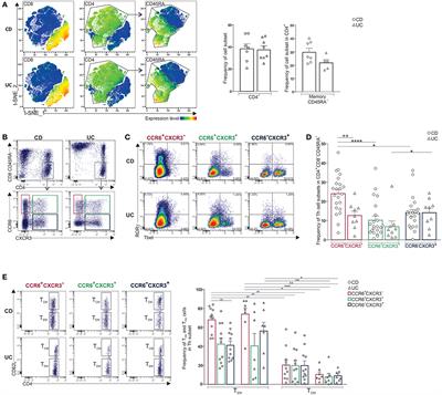 Differential Pathogenic Th17 Profile in Mesenteric Lymph Nodes of Crohn's Disease and Ulcerative Colitis Patients